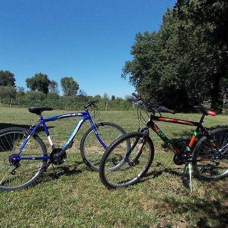 דירות San Lorenzo in Campo Il Borghetto מראה חיצוני תמונה