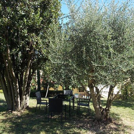 דירות San Lorenzo in Campo Il Borghetto מראה חיצוני תמונה