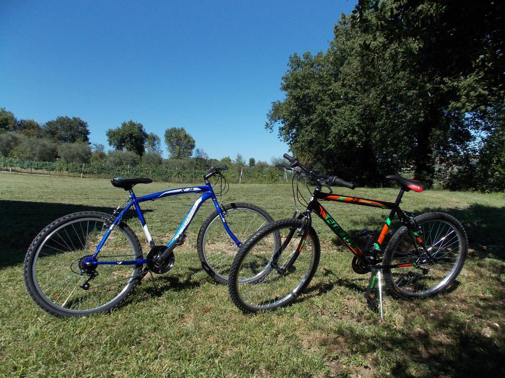 דירות San Lorenzo in Campo Il Borghetto מראה חיצוני תמונה