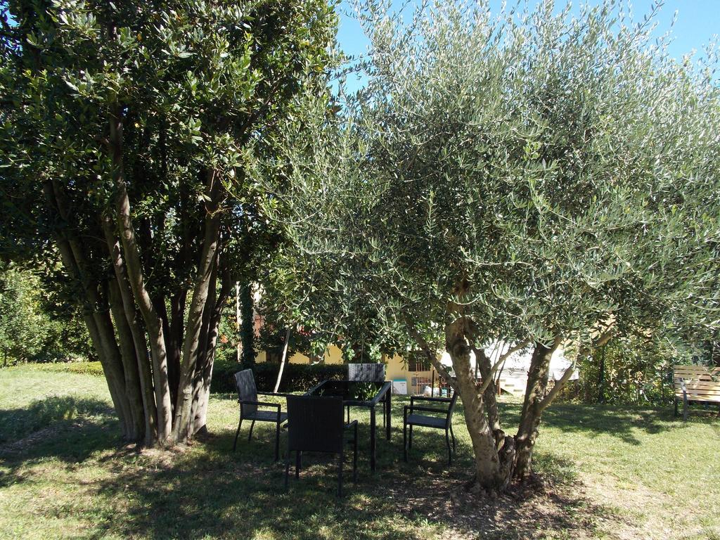 דירות San Lorenzo in Campo Il Borghetto מראה חיצוני תמונה
