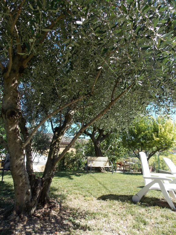 דירות San Lorenzo in Campo Il Borghetto מראה חיצוני תמונה