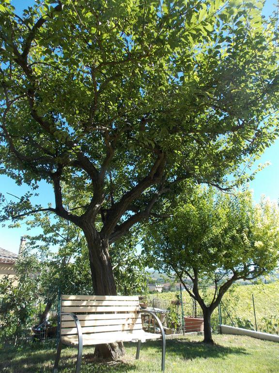 דירות San Lorenzo in Campo Il Borghetto מראה חיצוני תמונה