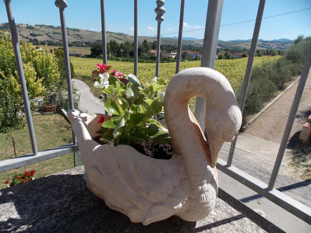 דירות San Lorenzo in Campo Il Borghetto מראה חיצוני תמונה