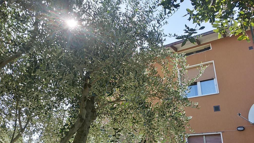 דירות San Lorenzo in Campo Il Borghetto מראה חיצוני תמונה